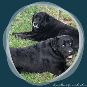 Meet your Posher, Deborah